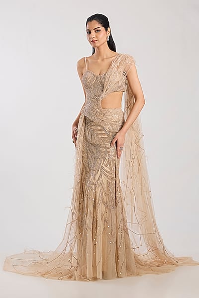Champagne Tulle Hand Embroidered Skirt Saree Set by Dolly J